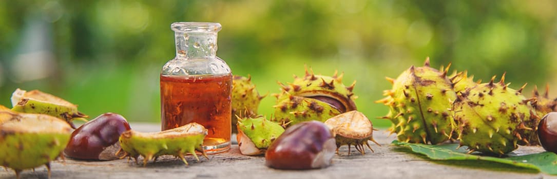 Horse chestnut extract in a bottle. selective focus. nature.