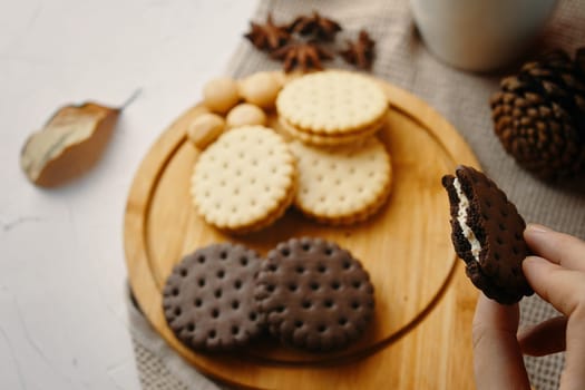 Woman eating cookies. Woman hand hold chocolate cookies.