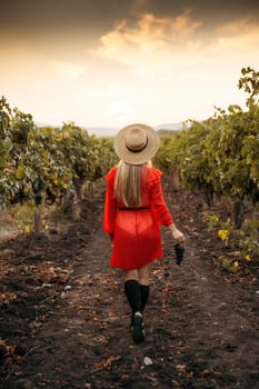 portrait of a happy woman in the summer vineyards at sunset. woman in a hat and smiling