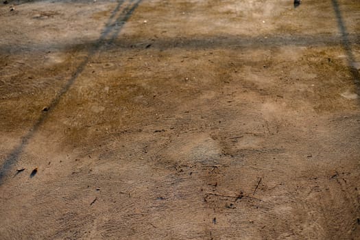 Dry brown leaves on grey concrete floor. Backgrounds The dry leaves on the cement floor.