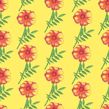 Marigold Flower Seamless Pattern. Hand Drawn Floral Digital Paper on Yellow Background.