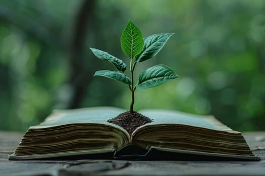 Knowledge Growth. Plant Sprouting from Open Book, Symbolizing Education, Learning, and Personal Development