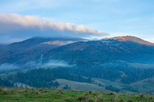 Morning in the summer Ukrainian Carpathians. The sun illuminates the tops of the mountains. Light fog in the forest