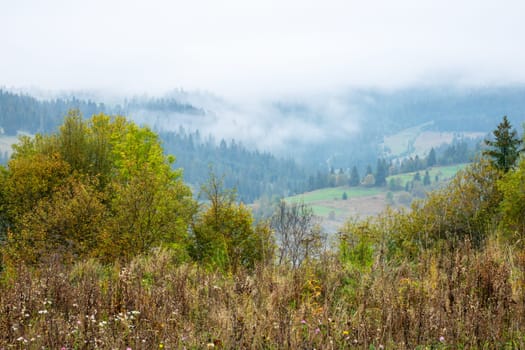 Summer Ukrainian Carpathians. Thick fog obscures the sky and mountain peaks. Pastures and forest in a mountain valley