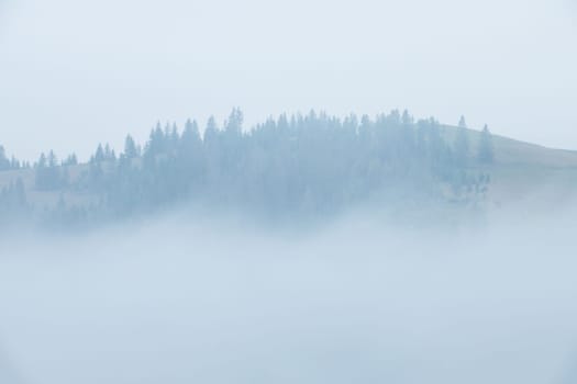 Summer Ukrainian Carpathians. Dense fog and wooded hill