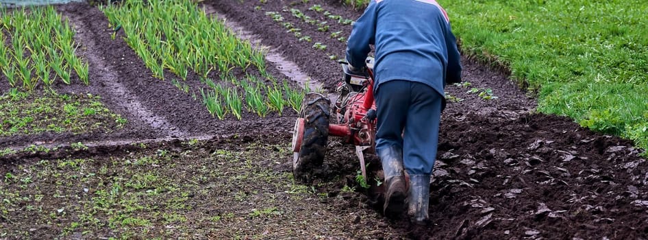 An aged red tractor plowing a vast rural field, preparing the rich soil for planting. Farmer in denim overalls guiding the tractor through fertile land on a sunny day.