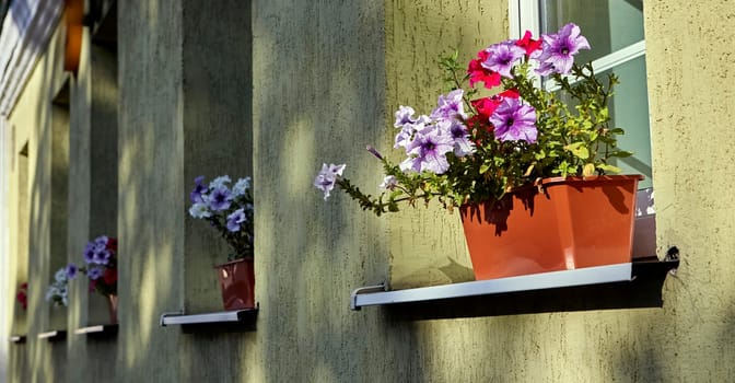 A potted plant containing vibrant purple and pink flowers is situated on a ledge, adding a pop of color to the space.