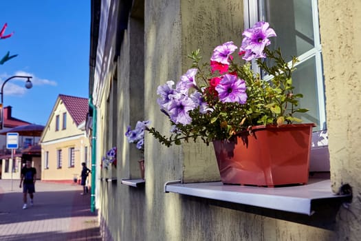 A potted plant containing vibrant purple and pink flowers is situated on a ledge, adding a pop of color to the space.