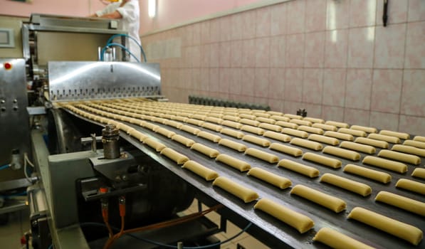 Rows of uncooked bread rolls are neatly aligned on a factory conveyor belt, ready for baking. The machinery suggests a large-scale production in an industrial bakery setting, emphasizing efficiency in food manufacturing. Golden dough shapes are progressing through the initial phases of a baking process.