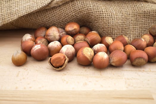 Fresh unshelled hazelnuts beside the jute sack on a wooden table with copy space for text
