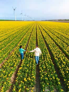 Men and women walking in a flower fields seen from above with a drone in the Netherlands, Tulip fields in the Netherlands during Spring, a diverse couple in a spring flower field