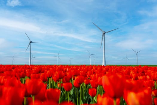 windmill park with red tulip flowers in Spring, windmill turbines in the Netherlands Europe. windmill turbines in the Noordoostpolder Flevoland