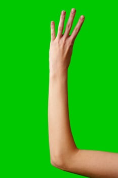 A persons hand is raised against a vibrant green backdrop, displaying a clear gesture by holding up four fingers, likely indicating the number four or possibly signaling a message without the use of words.