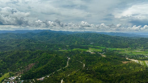 Aerial view of sugarcane plantations and agricultural land in the countryside. Negros, Philippines