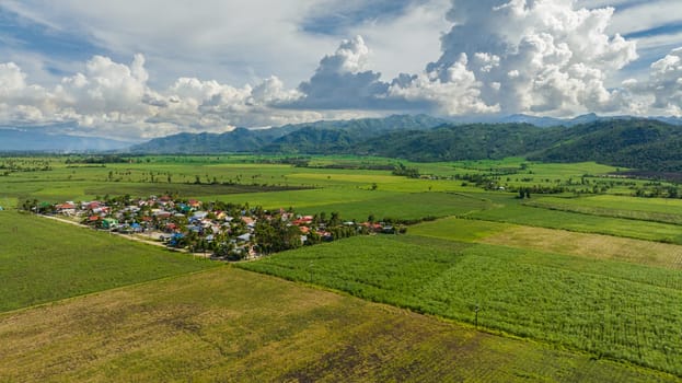 Farmland with sugar cane and rice fields. Negros, Philippines