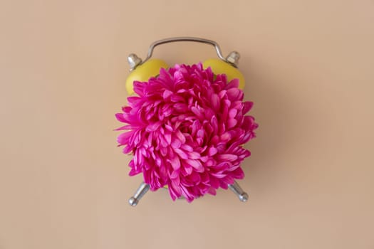 Creative minimalistic idea of flower and petals in front of alarm clock. Concept of summer spring time. Time to wake up nature. Daylight saving time
