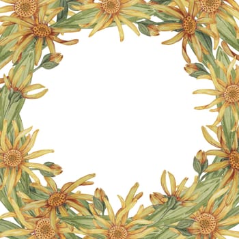 Arnica montana wreath, round frame. Watercolor, hand drawn wolfsbane flowers. Mountain tobacco clipart greeting card, quote, tags, labels for packaging in cosmetics, herbal medicine, creams, ointments