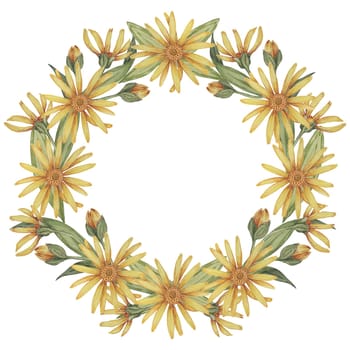 Arnica montana wreath, round frame. Watercolor, hand drawn wolfsbane flowers. Mountain tobacco clipart greeting card, quote, tags, labels for packaging in cosmetics, herbal medicine, creams, ointments