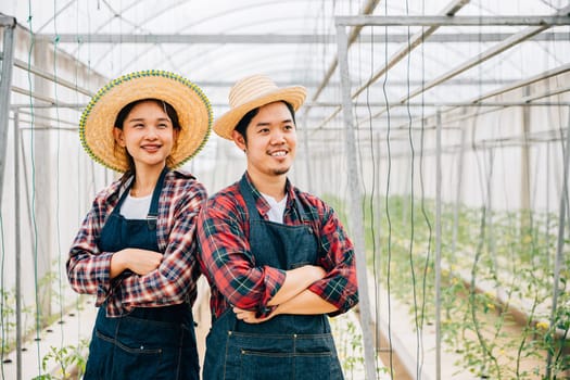 Asian couple farmers thrive in tomato hydroponic farm. Smiling husband and wife crossed arms carrying quality vegetables. Portrait of success in the greenhouse. Farming happiness.