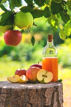 Apple cider vinegar in the garden. Selective focus. Food.