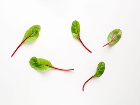 Set of fresh green chard leaves or mangold salad leaves on white background. Flat lay or top view fresh baby beet leaves, isolated on white background with clipping path.