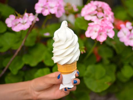 Italian ice-cream on a background of pink geraniums. Hand girl with a manicure.