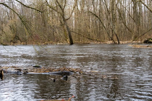 Spring flood on the river