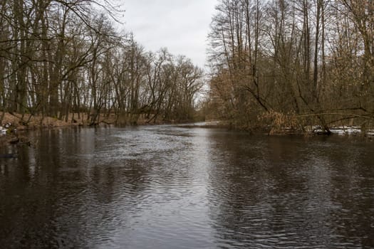 Spring flood on the river