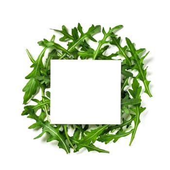 Creative layout made with arugula leaves. White paper square on heap of arugula or rucola leaves. Isolated on white with clipping path. Top view or flat lay. Copy space for text.