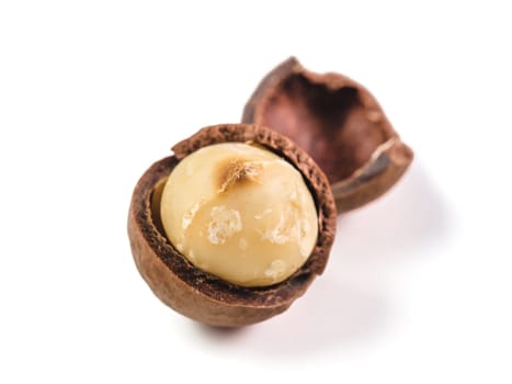 Peeled macadamia nut on white background. One macadamia nut with open shells isolated on white with clipping path. Copy space for text.