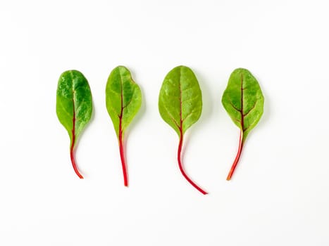 Set of four fresh green chard leaves or mangold salad leaves on white background. Flat lay or top view fresh baby beet leaves, isolated on white background with clipping path.