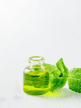 Organic essential mint oil or melissa oil with green leaves of mint. Mint melissa oil on white tabletop with copy space. Vertical