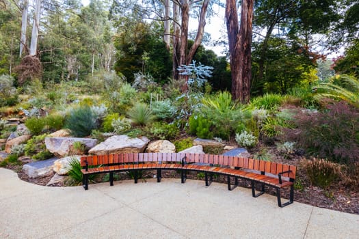 A late autumn afternoon in Dandenong Ranges Botanic Garden at Chelsea Australian Garden as part of the Olinda project in Olinda, Victoria Australia