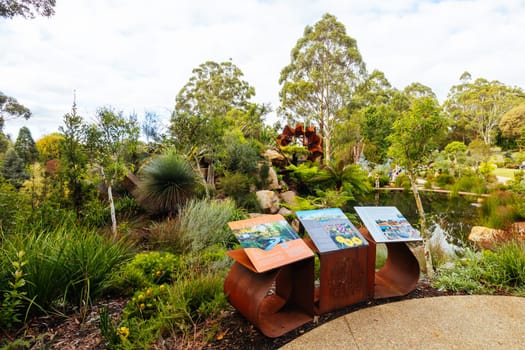 A late autumn afternoon in Dandenong Ranges Botanic Garden at Chelsea Australian Garden as part of the Olinda project in Olinda, Victoria Australia