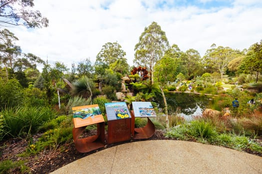 A late autumn afternoon in Dandenong Ranges Botanic Garden at Chelsea Australian Garden as part of the Olinda project in Olinda, Victoria Australia