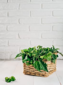 Basket of fresh stinging nettle leaves on white wooden table. Nettle leaf with copy space. Vertical