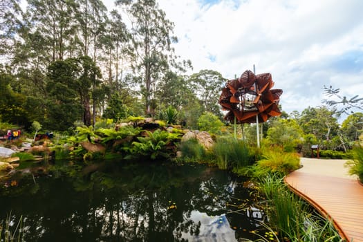 A late autumn afternoon in Dandenong Ranges Botanic Garden at Chelsea Australian Garden as part of the Olinda project in Olinda, Victoria Australia