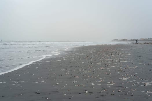 A beach with a gray sky and many seashells brought by the storm, the sea is rough, lido Adriano, Ravenna.