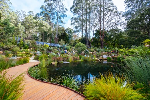 A late autumn afternoon in Dandenong Ranges Botanic Garden at Chelsea Australian Garden as part of the Olinda project in Olinda, Victoria Australia