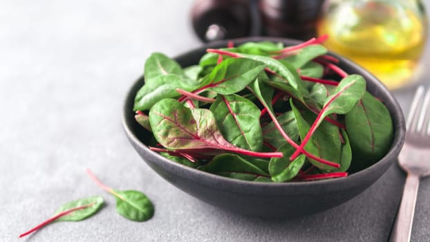 Fresh salad of green chard leaves or mangold on gray stone background. Fresh baby beet leaves in craft ceramic bowl. Copy space for text. Lettuce banner