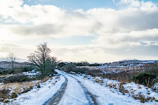 The R254 connects Doochary and Glenveagh Nation Park in County Donegal - Ireland.