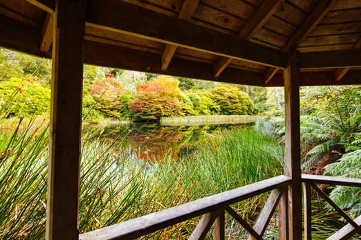 A late autumn afternoon in Dandenong Ranges Botanic Garden in Olinda, Victoria Australia