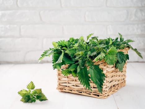 Basket of fresh stinging nettle leaves on white wooden table. Nettle leaf with copy space. Horizontal