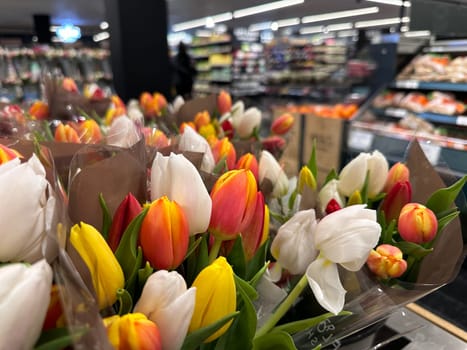 Close up of beautiful fresh tulips in the flower shop