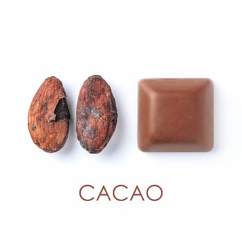 Raw cacao bean and chocolate piece and word CACAO on white background. Isolated on white with clipping path. Copy space for text.