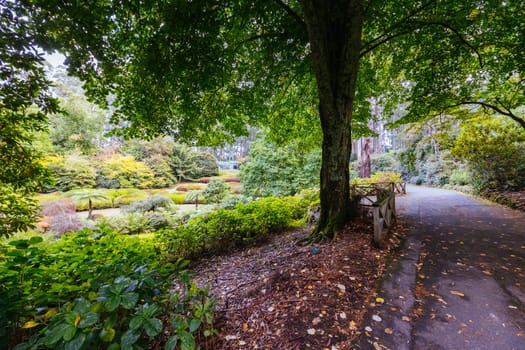 A late autumn afternoon in Dandenong Ranges Botanic Garden in Olinda, Victoria Australia