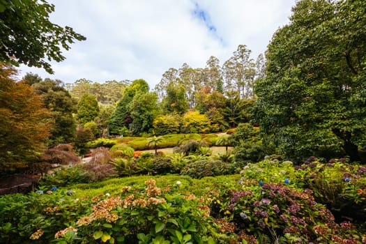 A late autumn afternoon in Dandenong Ranges Botanic Garden in Olinda, Victoria Australia