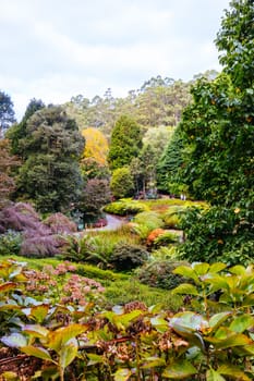 A late autumn afternoon in Dandenong Ranges Botanic Garden in Olinda, Victoria Australia