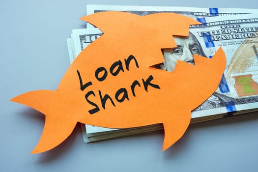 A stack of money and a paper fish with inscription loan shark.