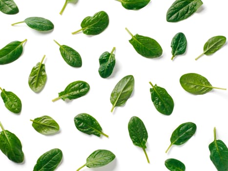 Pattern from baby spinach leaves. Fresh green baby spinach isolated on white with clipping path. Top view or flat lay. Can use for design vegan and keto diet